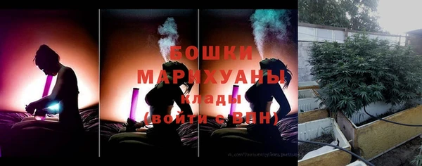 ГАЛЛЮЦИНОГЕННЫЕ ГРИБЫ Алексеевка
