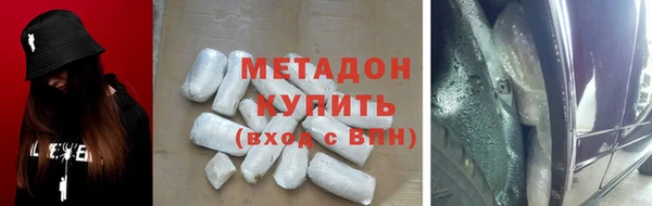 прущие грибы Алзамай