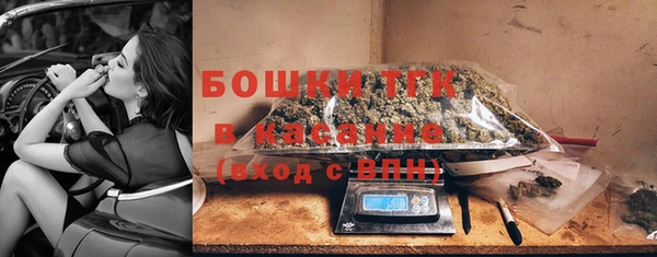 прущие грибы Алзамай