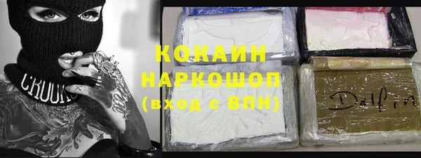 соль ск Алексин